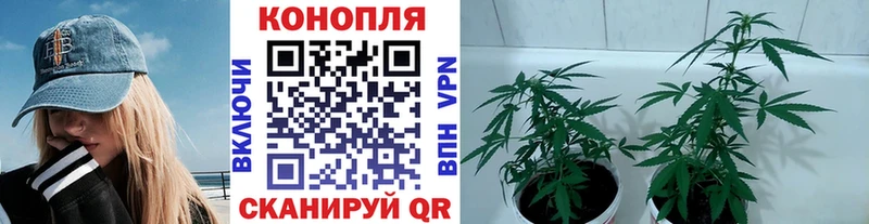  КОКАИН Махачкала