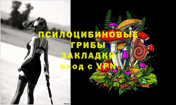 эйфоретик Дмитров