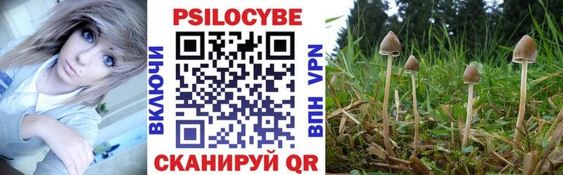 Купить закладки  Махачкала  Псилоцибиновые грибы Psilocybine cubensis 